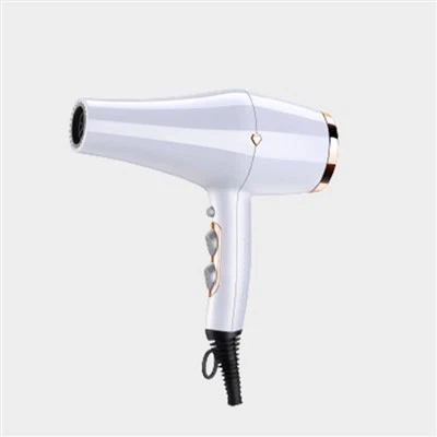 भव्य एडजस्टेबल स्टैंड अप हेयर ड्रायर