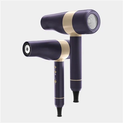 पोर्टेबल प्रोफेशनल सैलून हेयर ड्रायर